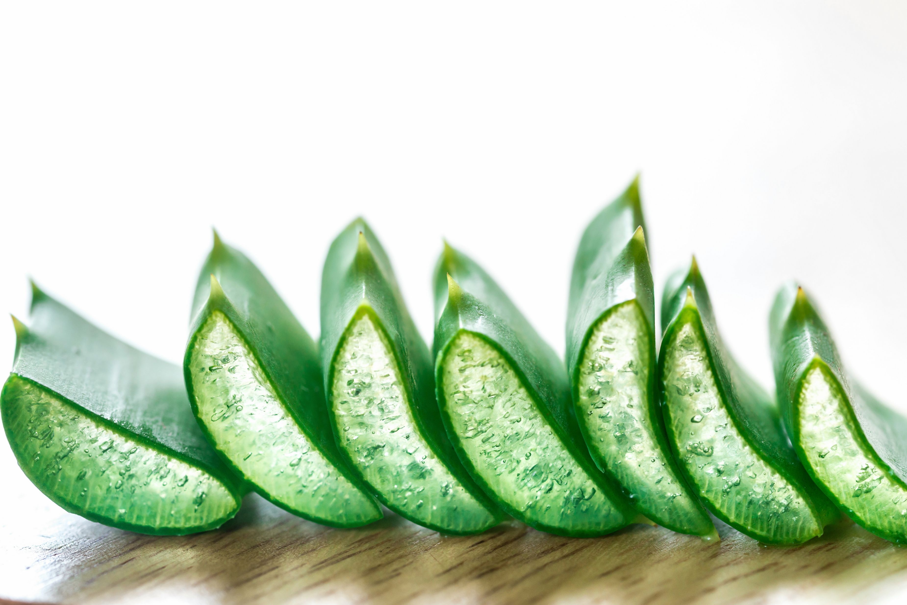 ᑕ ᑐ Aloe Vera Anwendung | Aloe Vera Pflanze